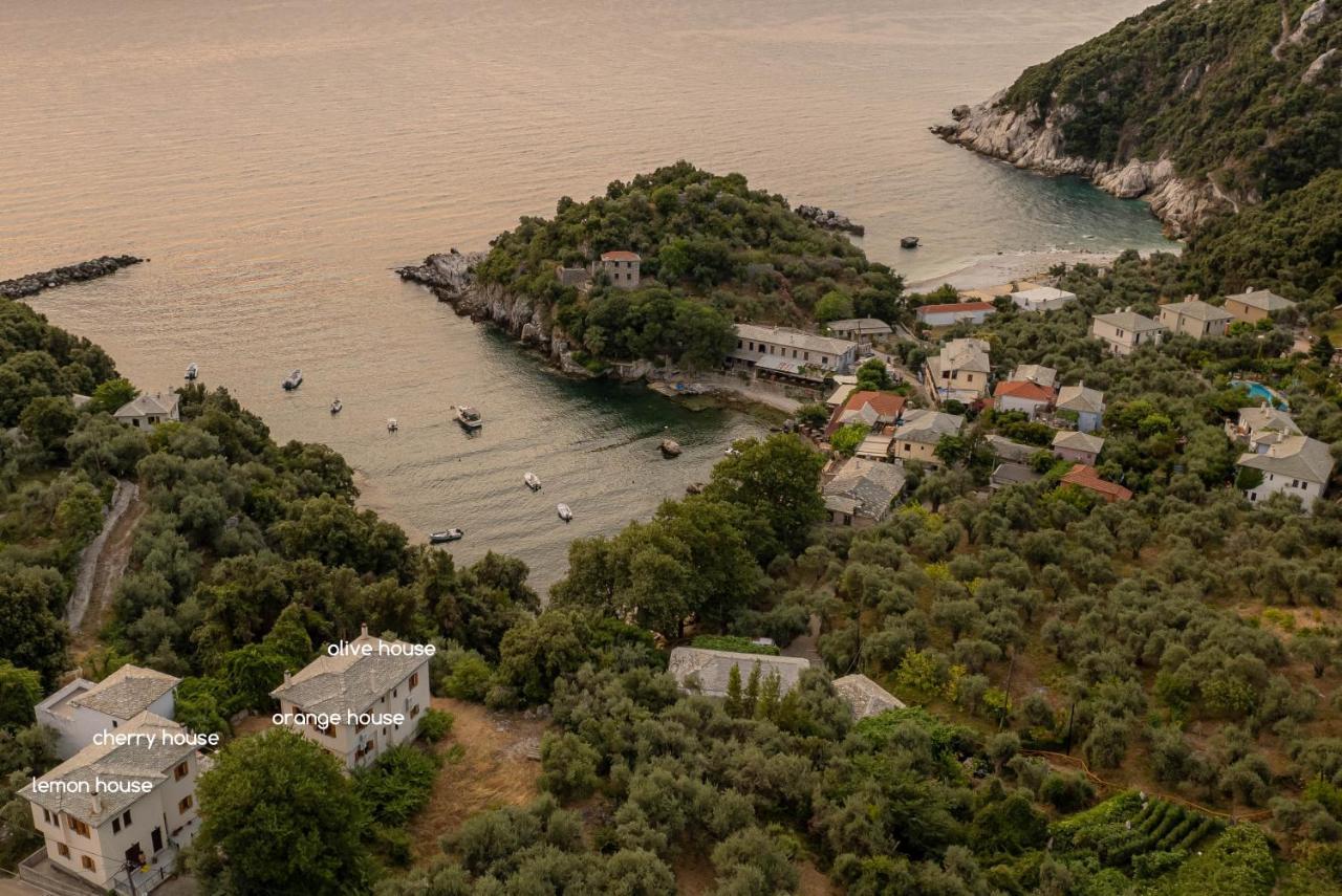Olive House In Damouchari With A Sea View - Delicious Houses エクステリア 写真