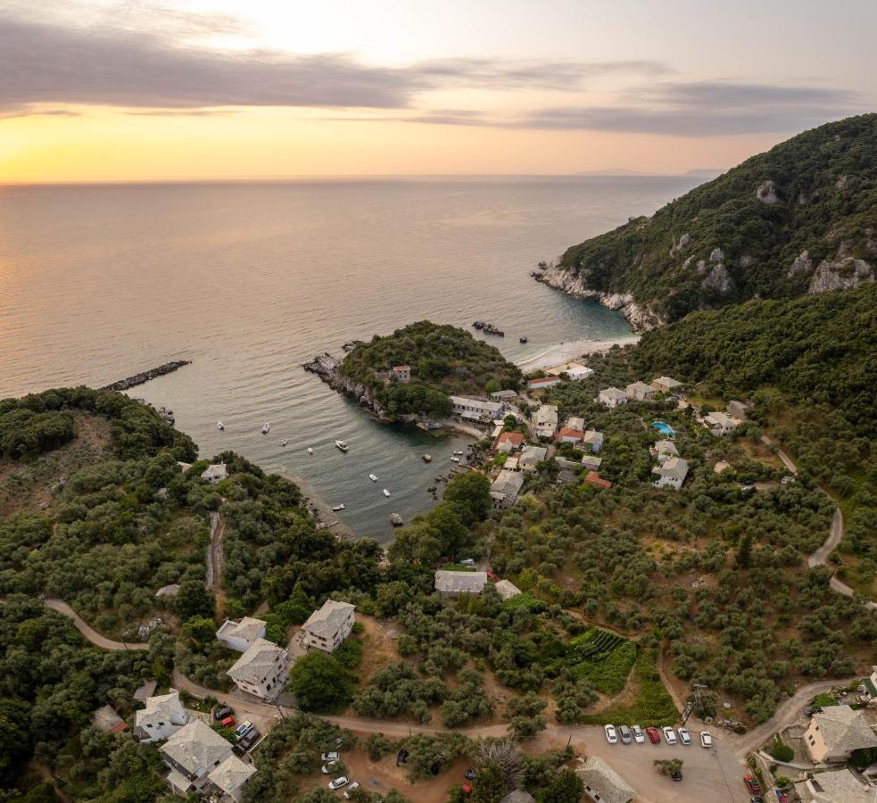 Olive House In Damouchari With A Sea View - Delicious Houses エクステリア 写真