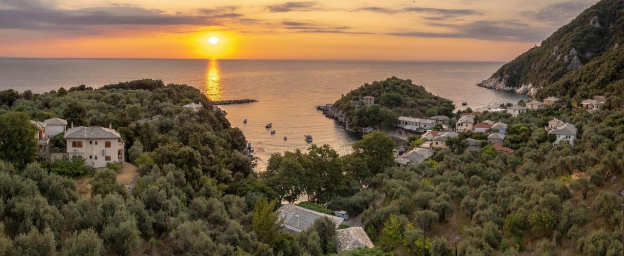 Olive House In Damouchari With A Sea View - Delicious Houses エクステリア 写真