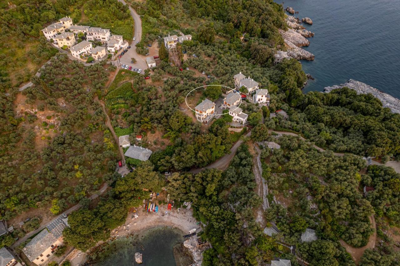 Olive House In Damouchari With A Sea View - Delicious Houses エクステリア 写真